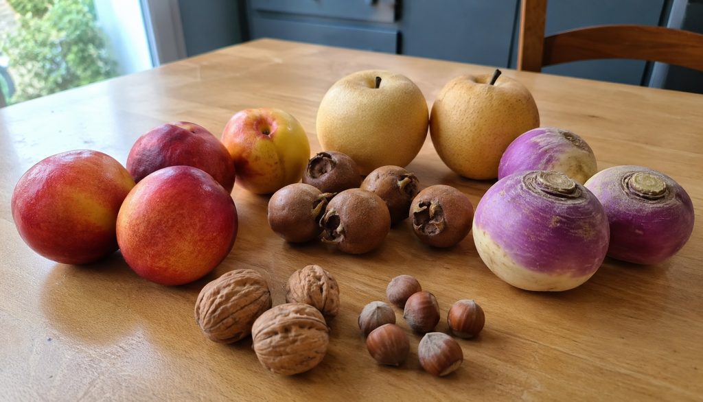 Légumes et fruits commençant par N : liste complète
